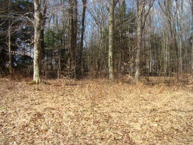 3-22 Lake Shore Road Friedens, PA 15541 - Photo 2 of 7 Gallery Image 2