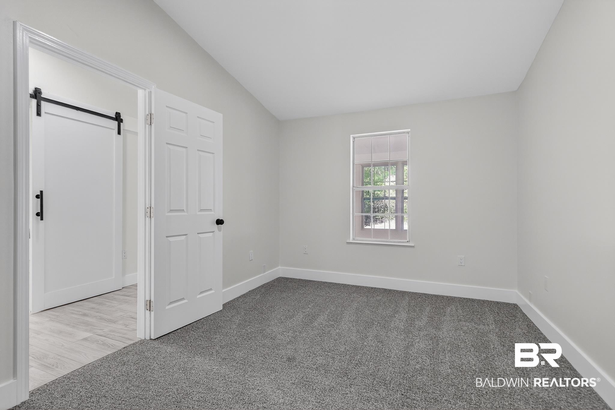 10650 Old Pascagoula Road Theodore, AL 36582 - Photo 58 of 77 Unfurnished room featuring carpet, a barn door, and lofted ceiling
