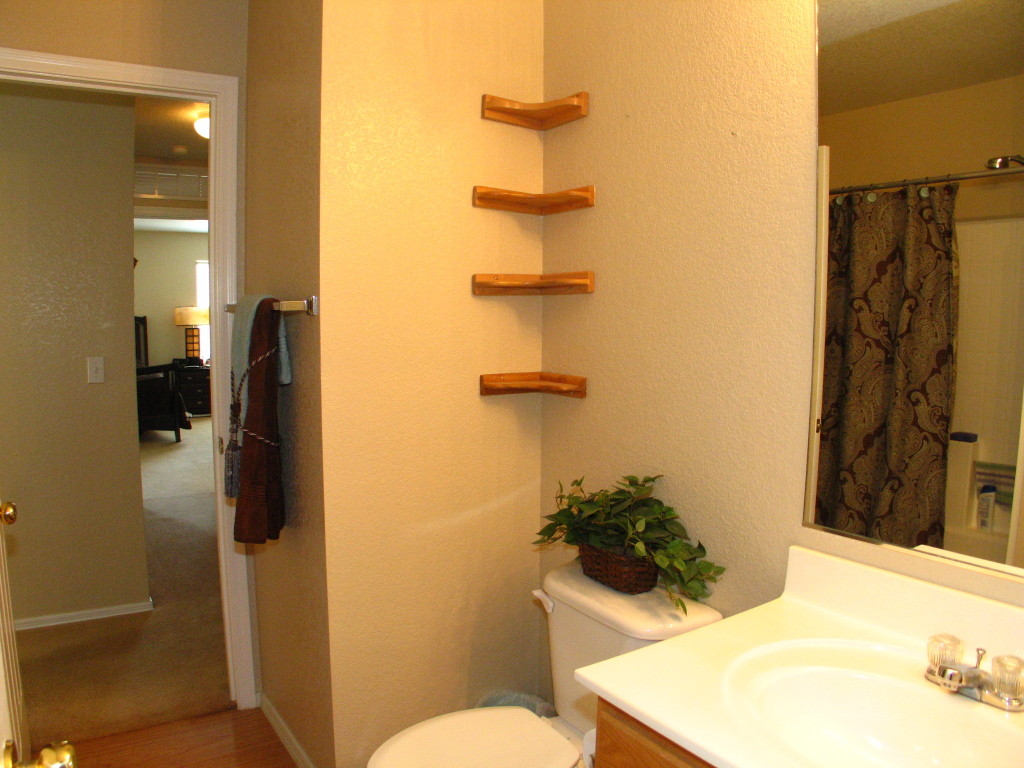 929 East Pedro Road Phoenix, AZ 85042 - Photo 8 of 13 h