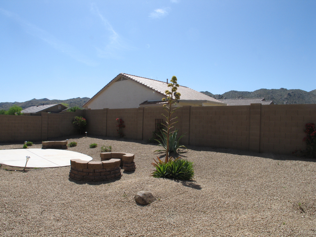 929 East Pedro Road Phoenix, AZ 85042 - Photo 10 of 13 f