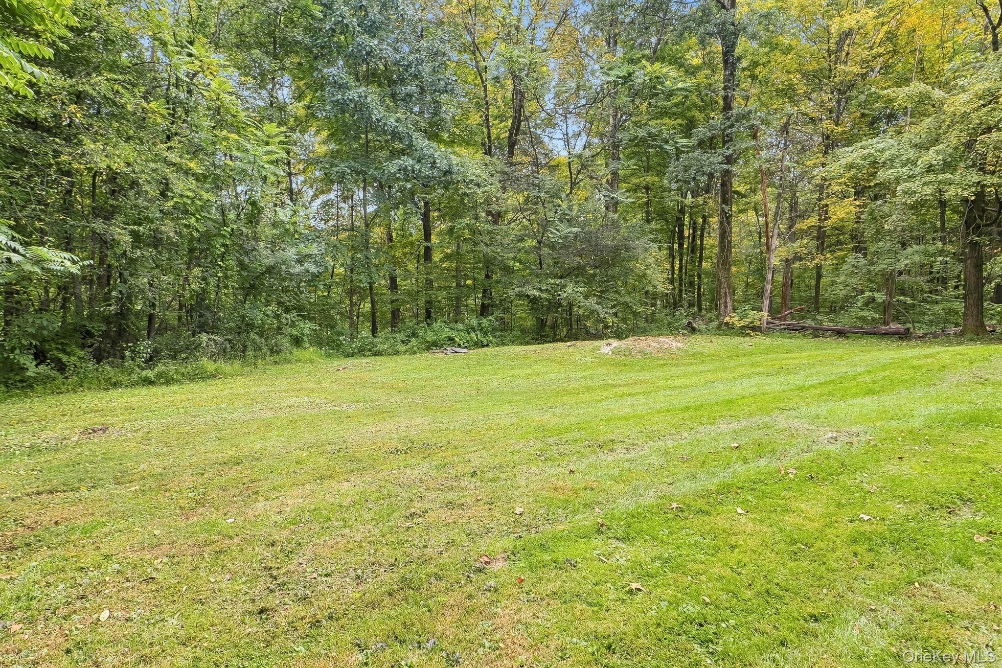 48 Mac Farlane Road Wappingers Falls, NY 12590 - Photo 40 of 47 Expansive lawn area bordered by mature trees