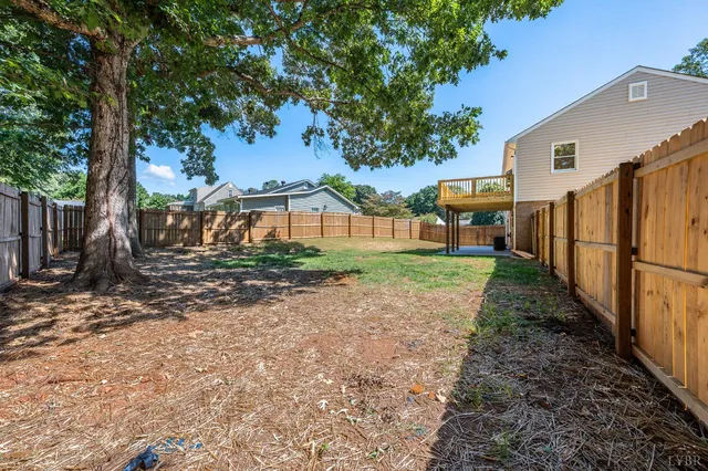 a view of a yard with plants and a large tree