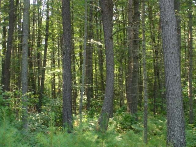 On Misty Lane, Unit 13 Eagle River, WI 54521 - Photo 4 of 9 Gallery Image 4
