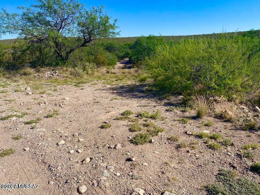 0 Rancho Kulvato Road Vail, AZ 85641 - Photo 19 of 25 a view of a yard with a tree