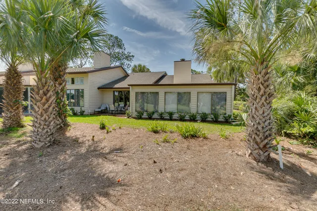 a view of a big yard with plants and large trees
