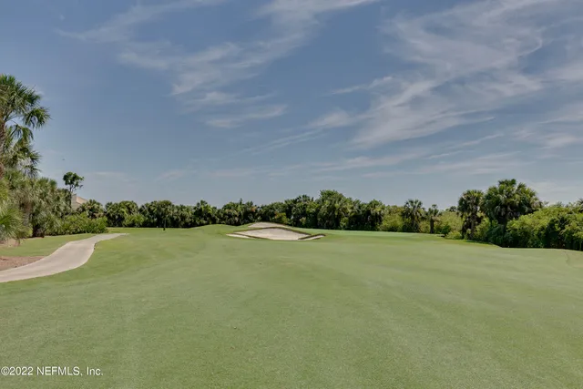 a view of a yard with palm trees
