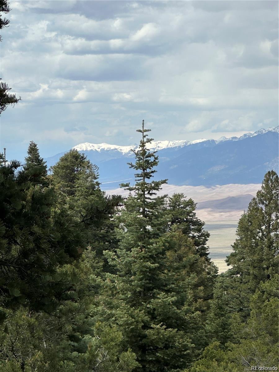 2-7 Arrestre Mosca, CO 81146 - Photo 1 of 4