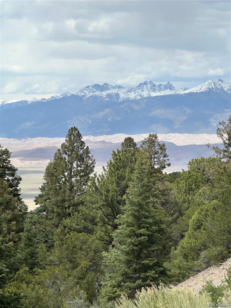 2-7 Arrestre Mosca, CO 81146 - Photo 2 of 4