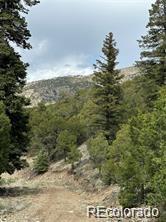 2-7 Arrestre Mosca, CO 81146 - Photo 4 of 4