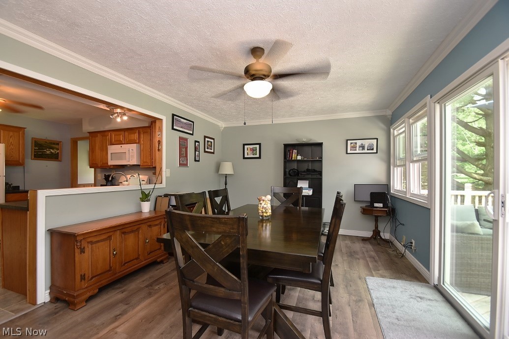 8884 Carnes Road Chagrin Falls, OH 44023 - Photo 8 of 23 Gallery Image 8