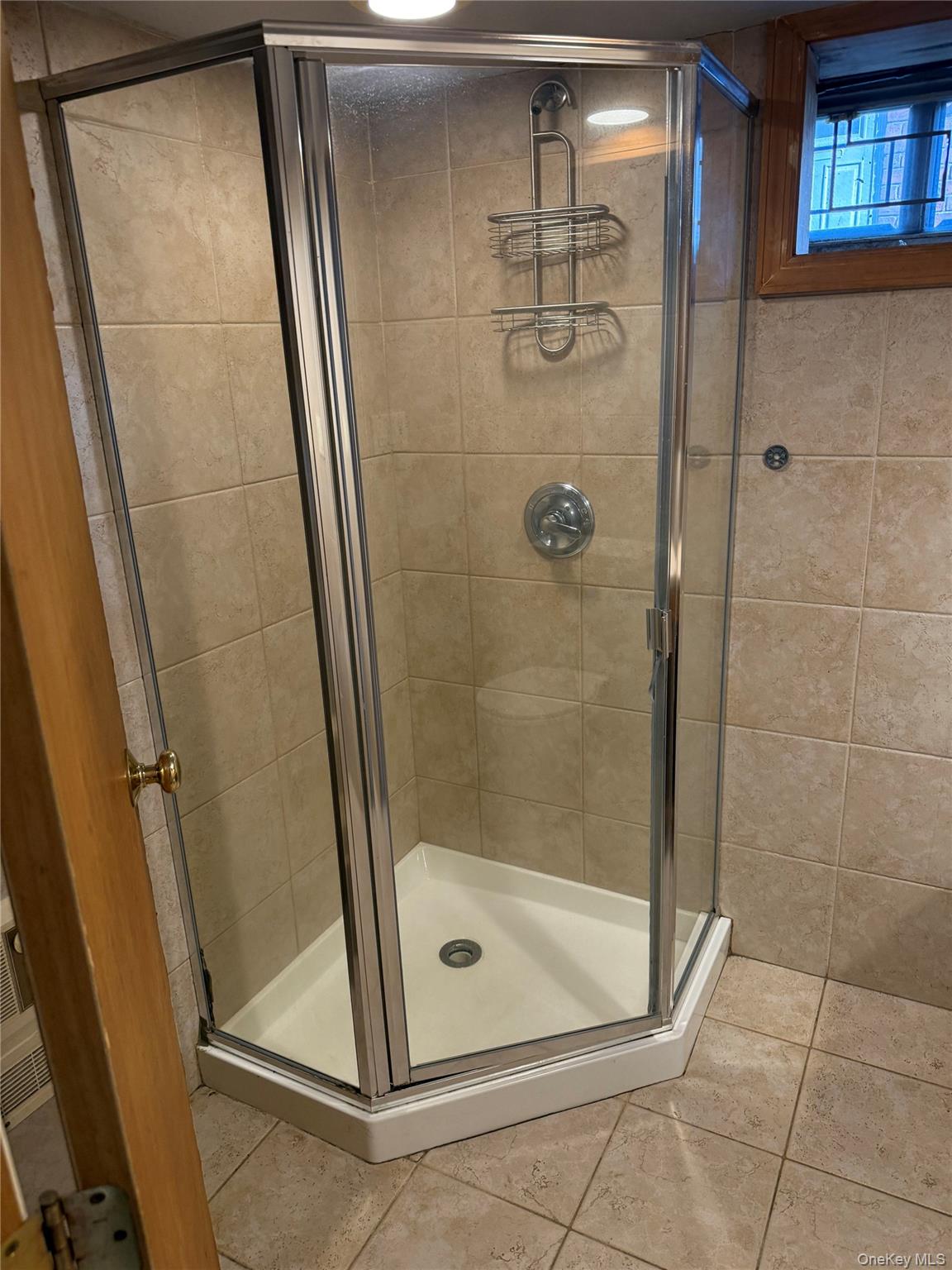 1900 Carleton Place Baldwin, NY 11510 - Photo 15 of 23 Basement Full Bath Glass Shower