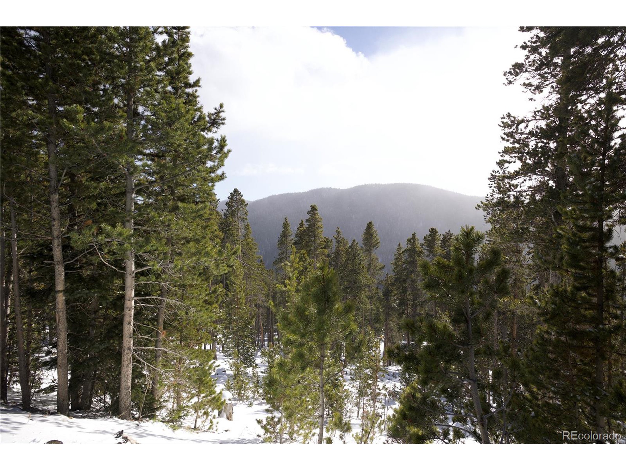 37 Vista Road Idaho Springs, CO 80452 - Photo 23 of 27 a view of a yard