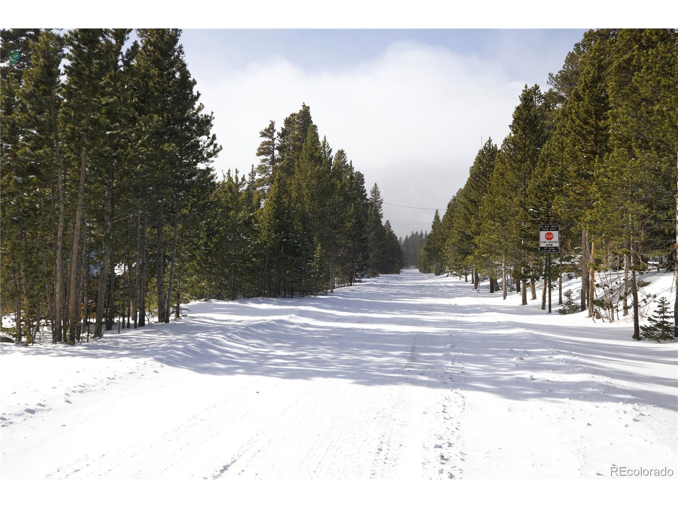 37 Vista Road Idaho Springs, CO 80452 - Photo 26 of 27 a view of road with trees