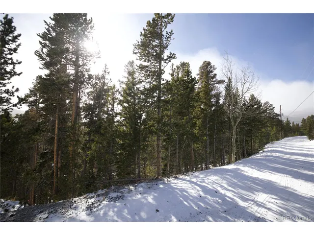 a view of backyard with green space