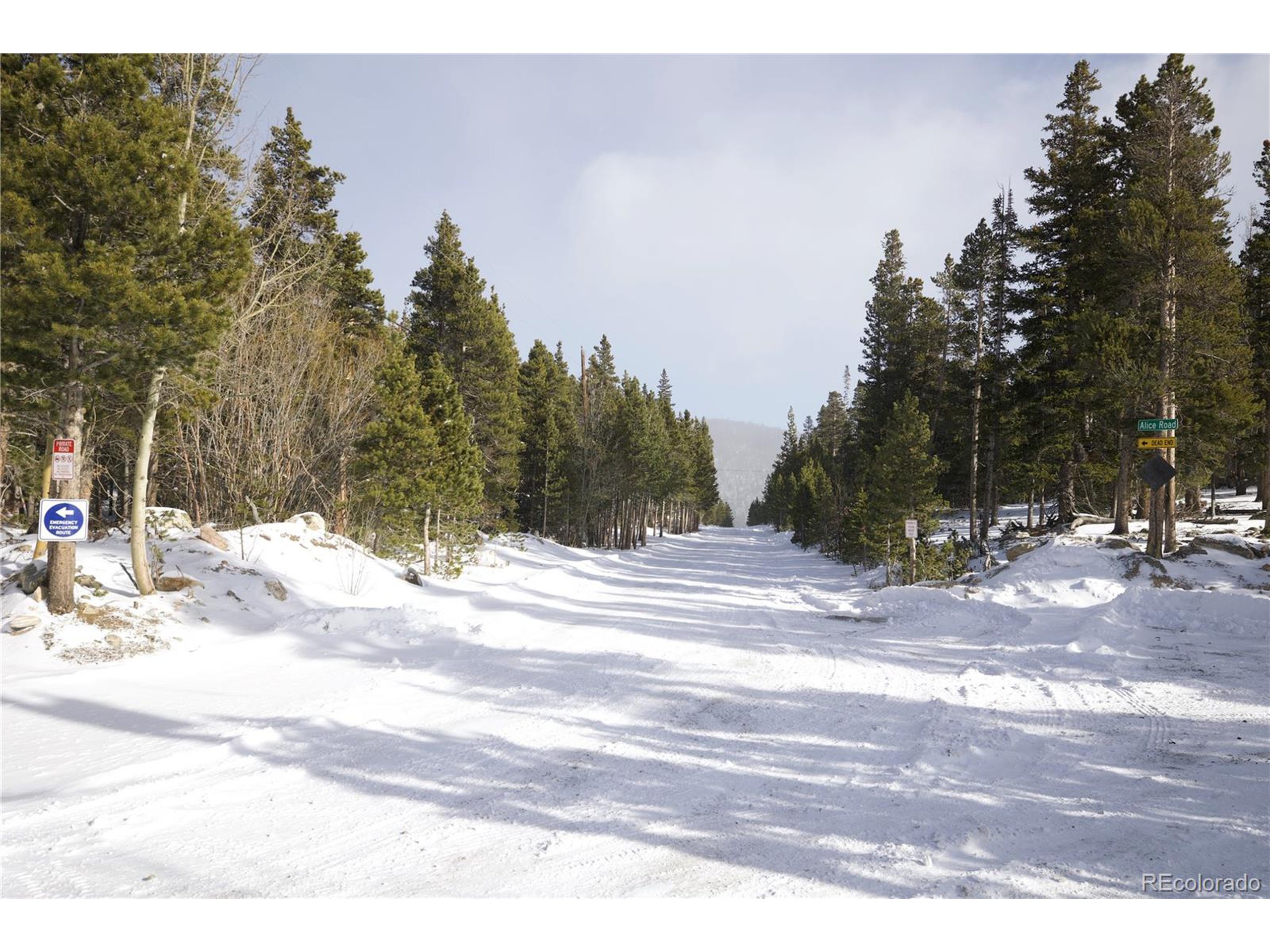 37 Vista Road Idaho Springs, CO 80452 - Photo 4 of 27 a view of a backyard of the house