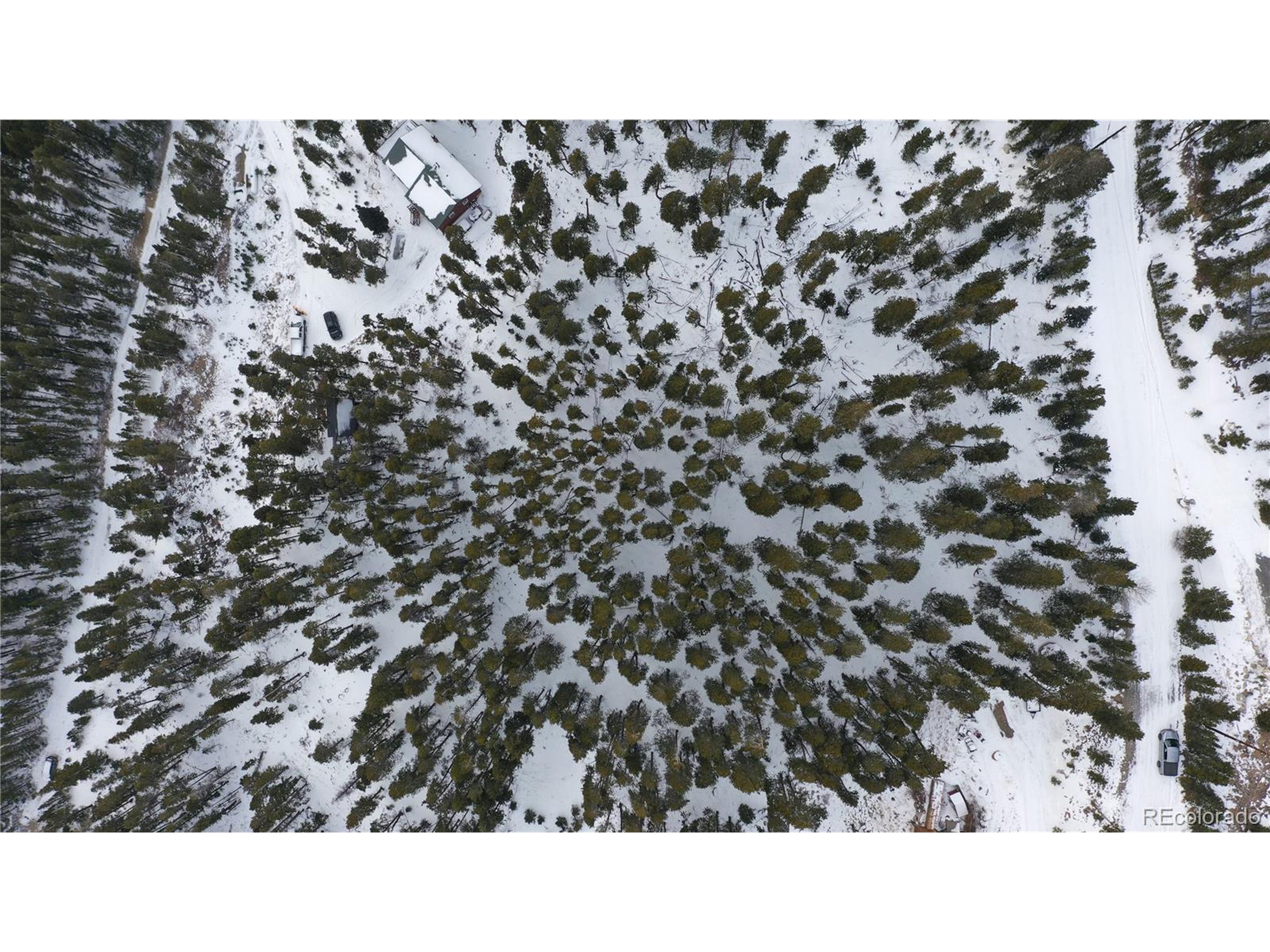 37 Vista Road Idaho Springs, CO 80452 - Photo 6 of 27 a black and white photo of a house