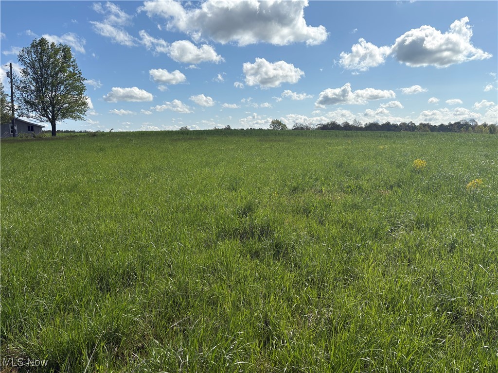 Brosius Road Garrettsville, OH 44231 - Photo 4 of 6 View of undeveloped land featuring rural landscape