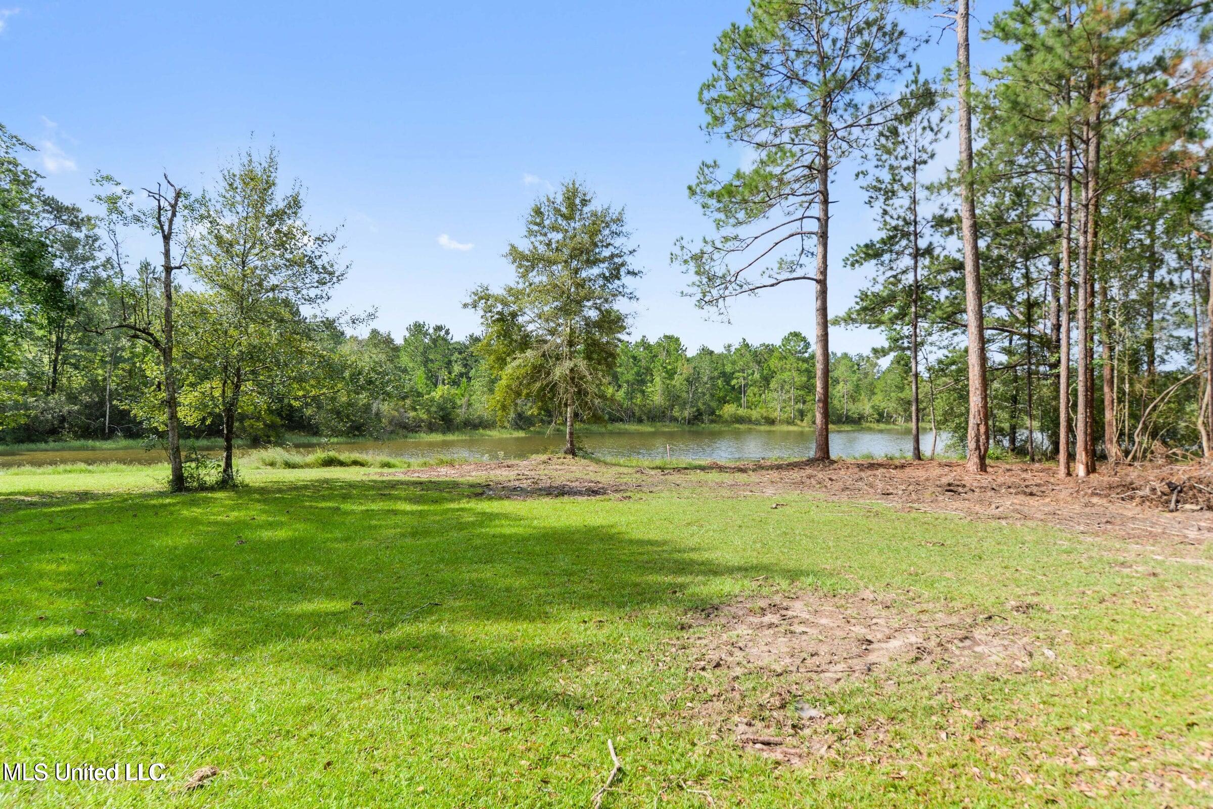 120 Maple Drive Perkinston, MS 39573 - Photo 6 of 35 20240915165653221045000000-o