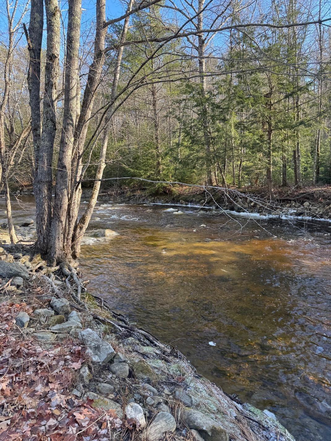 286 Upper Hostile Valley Road Liberty, ME 04949 - Photo 2 of 14 IMG_8859 (1)