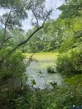 a view of yard with green space