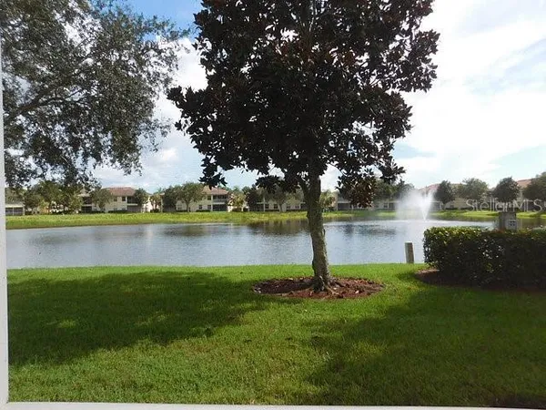 a view of a lake with a garden and trees
