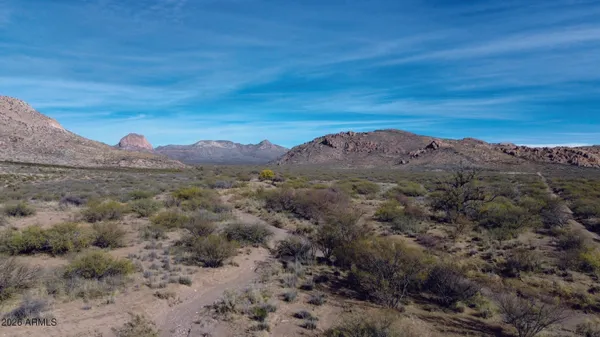 $11,000 | 20-acres East Pebble Road, Douglas, AZ 85607