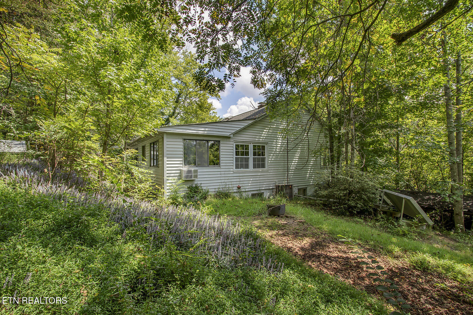 1309 Gamble Drive Heiskell, TN 37754 - Photo 37 of 47 39_GambleDrive_1309_BackLeft