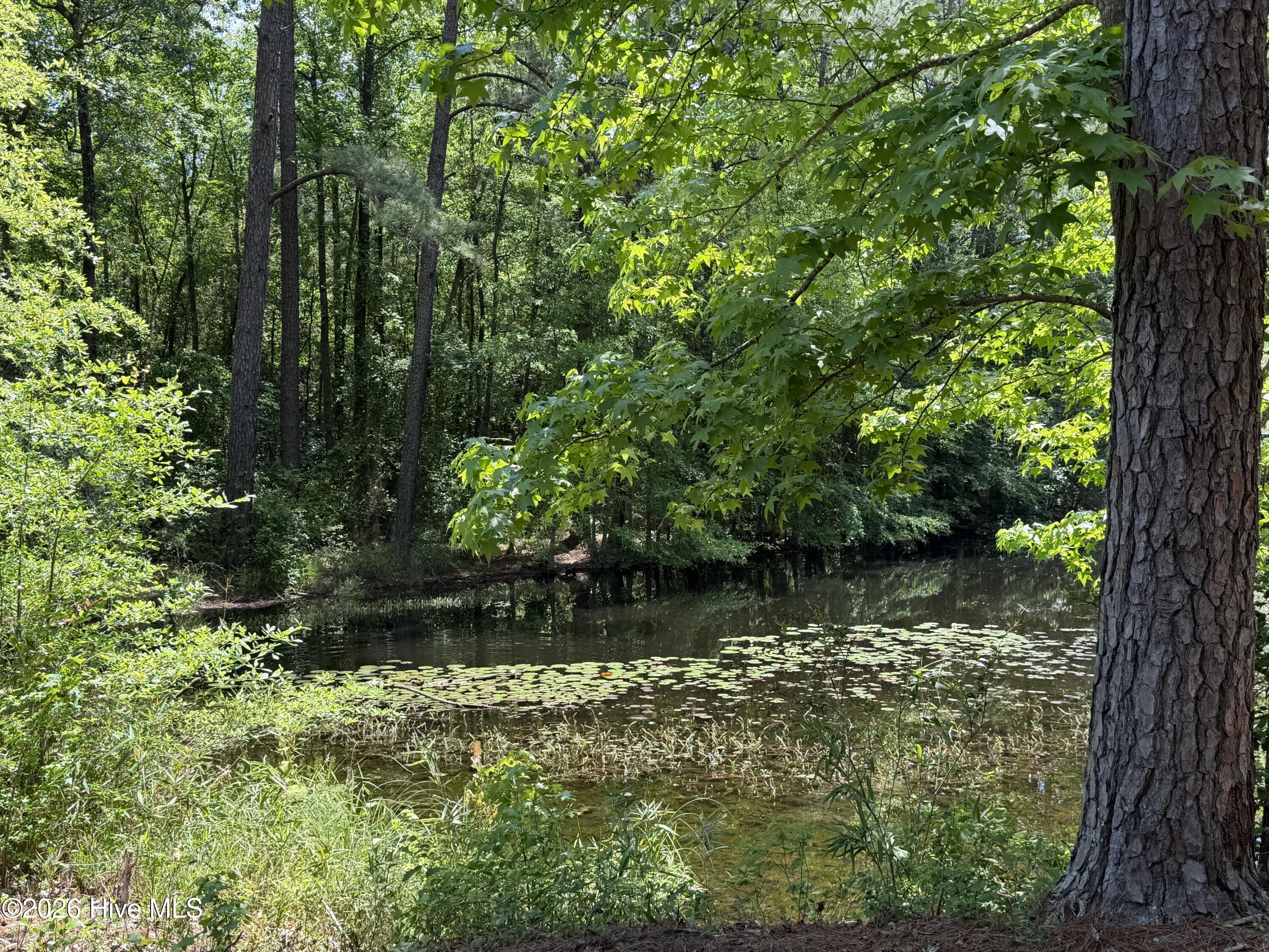 979 Aiken Road Vass, NC 28394 - Photo 5 of 26 979 Aiken Rd 5