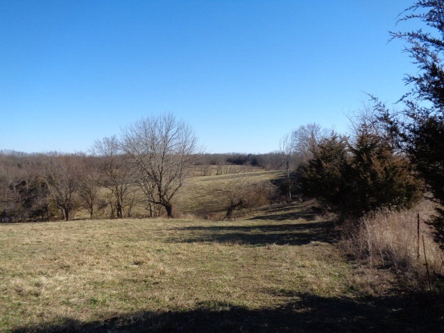 Whippoorwill Road California, MO 65018 - Photo 4 of 10