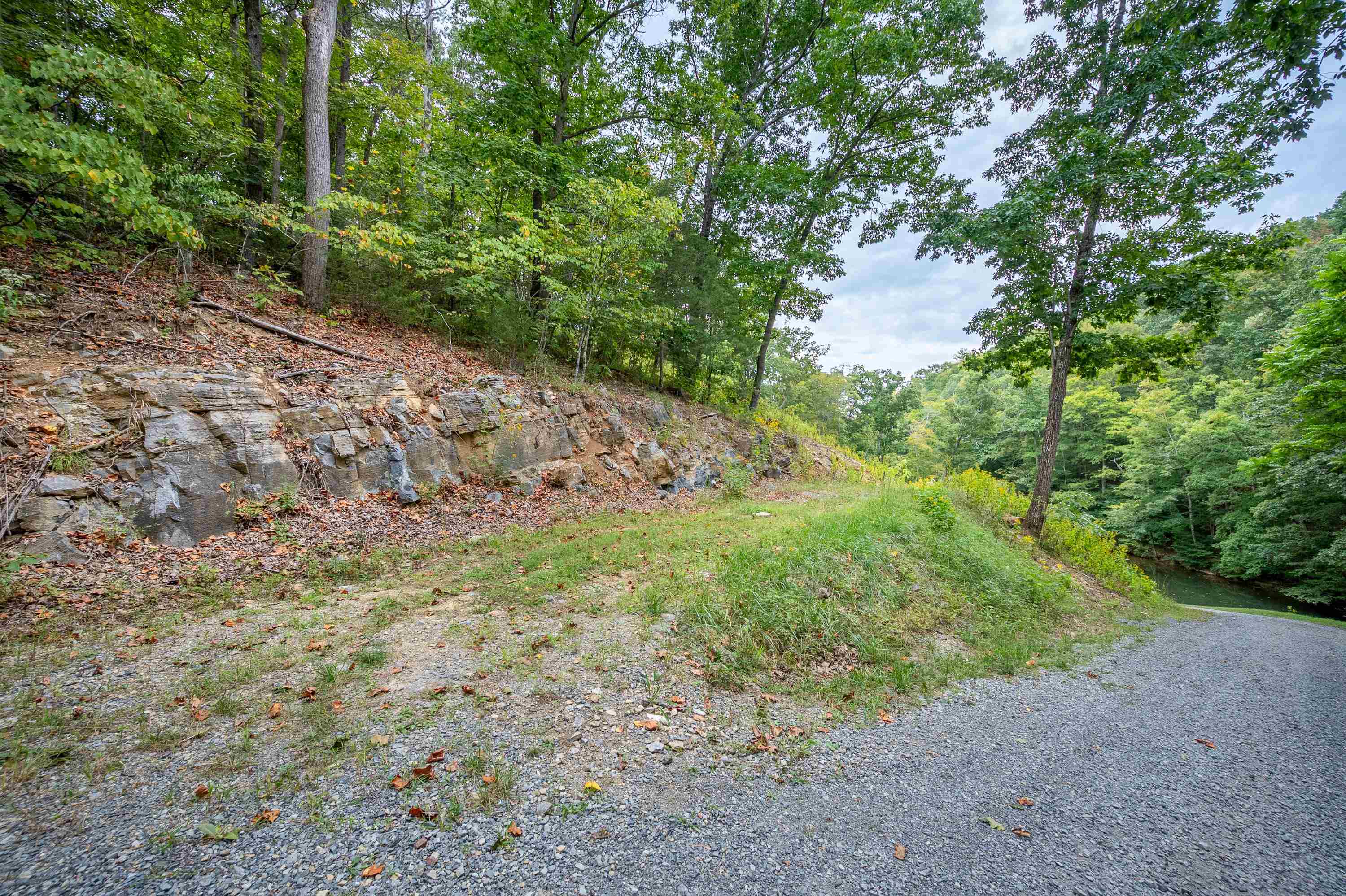 6007 Thornton Road Dublin, VA 24084 - Photo 42 of 105 Gallery Image 42