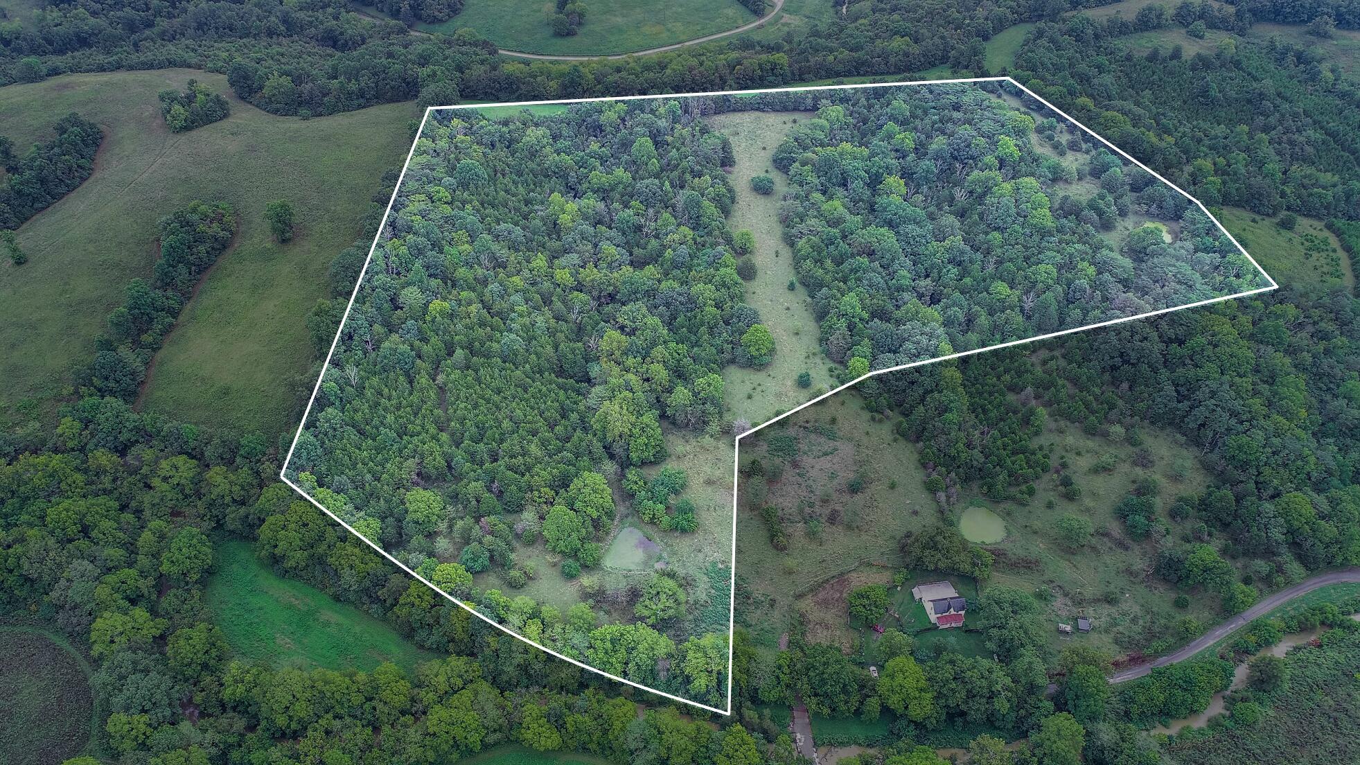 1 Bobtown Road Cynthiana, KY 41031 - Photo 1 of 7 bobtown