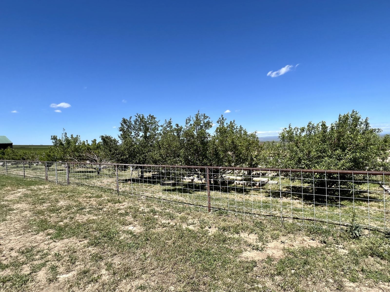 4513 Starr Valley Road Deeth, NV 89823 - Photo 34 of 49 a backyard of a house with lots of green space