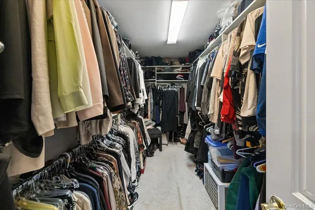 a view of walk in closet with clothes and shoes