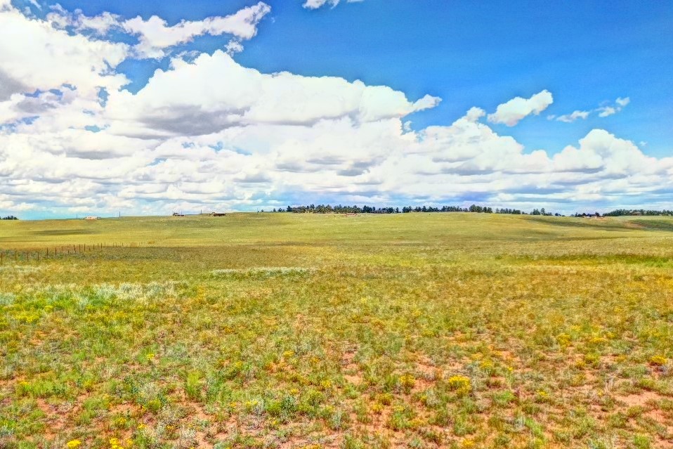 0 Ranch Road Hartsel, CO 80449 - Photo 21 of 24 Gallery Image 21