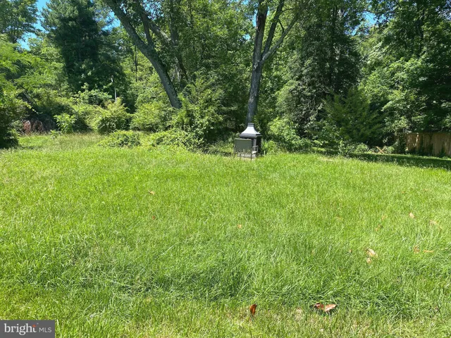 a green field with lots of bushes