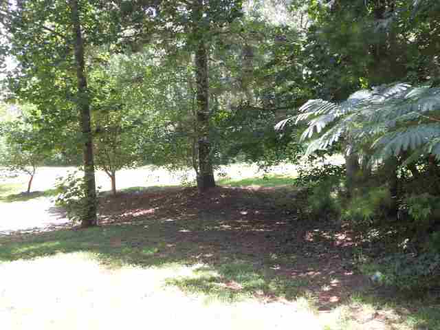 2013 Ridgeview Lane Seneca, SC 29678 - Photo 13 of 20 Gallery Image 13