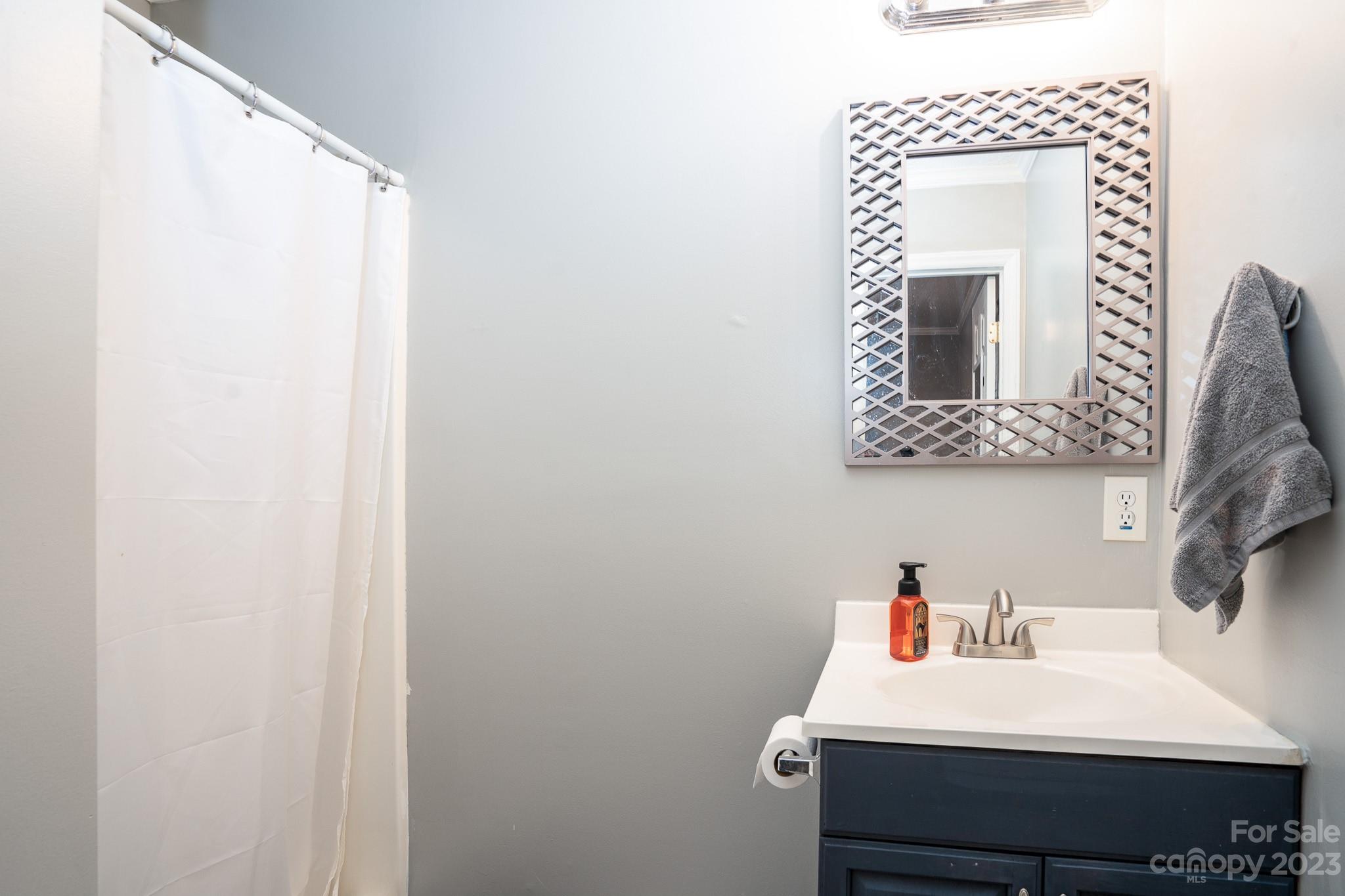 1250 B Street Mount Pleasant, NC 28124 - Photo 17 of 19 a bathroom with a sink and a mirror