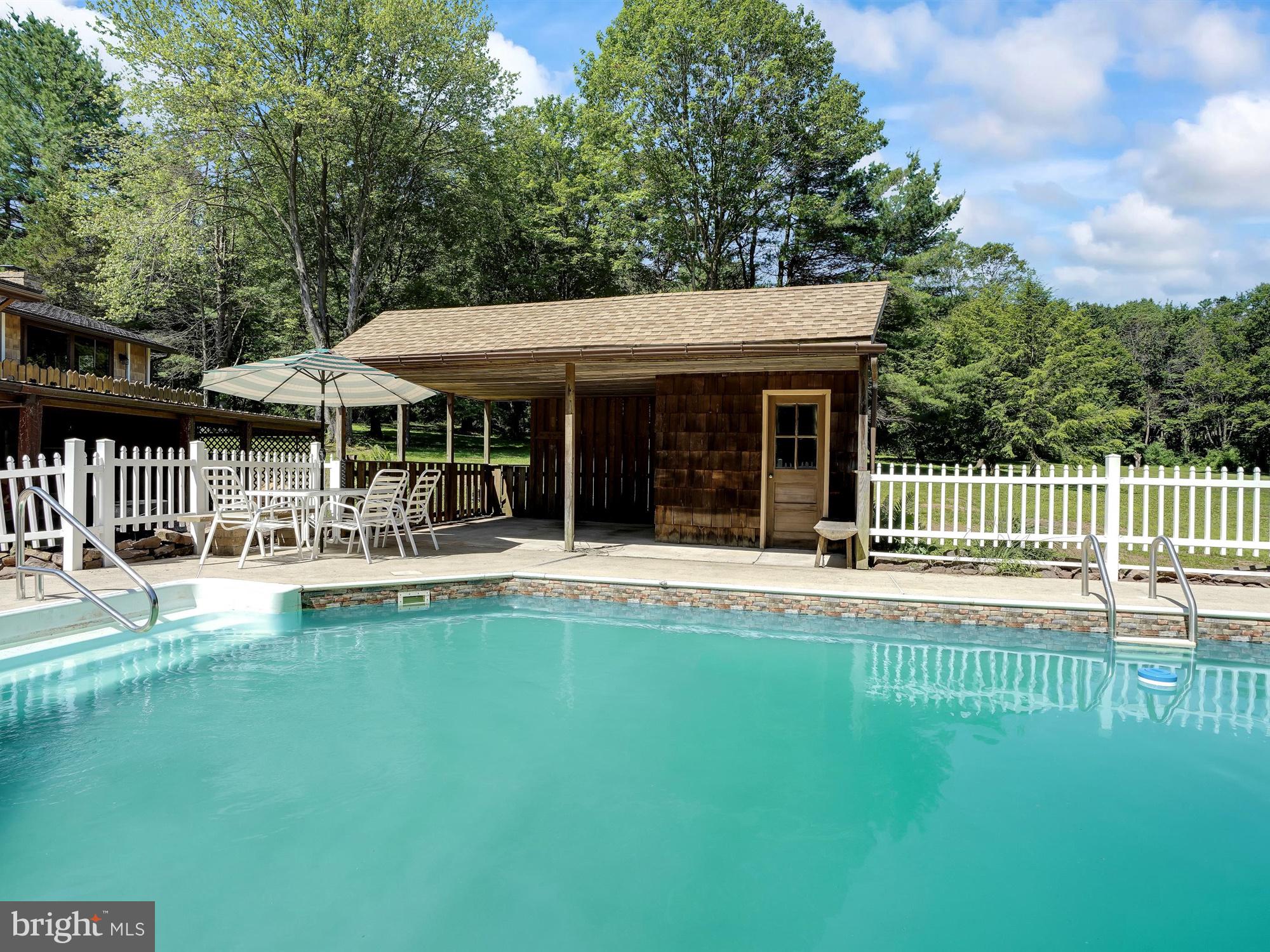 296 Swopes Valley Road Pine Grove, PA 17963 - Photo 46 of 57 POOL