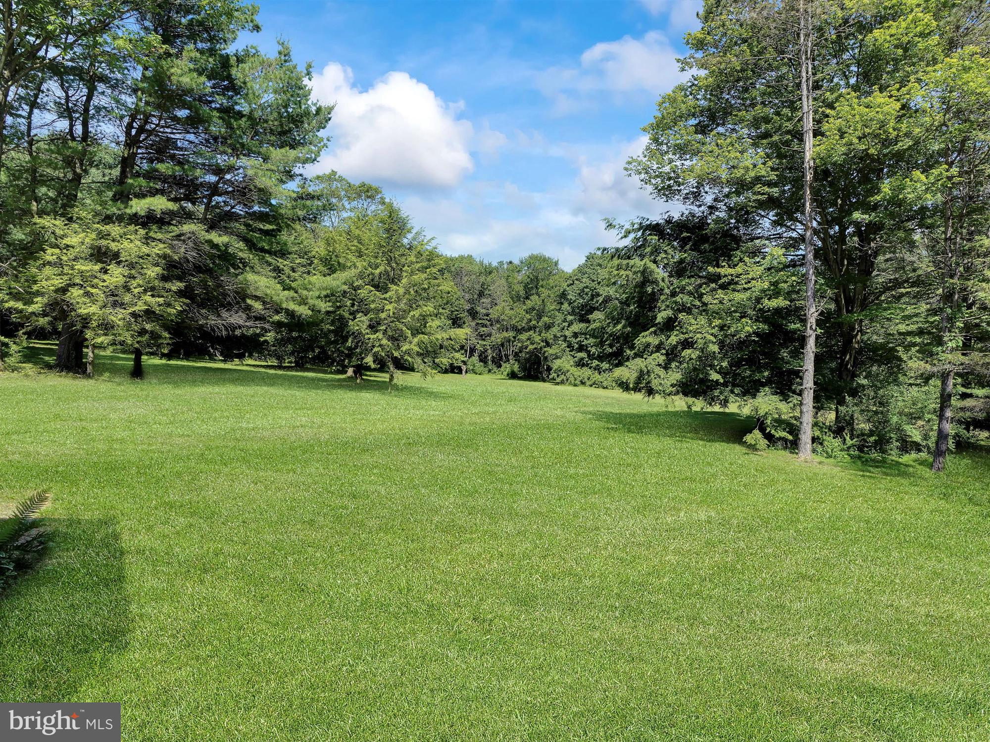 296 Swopes Valley Road Pine Grove, PA 17963 - Photo 48 of 57 MEADOW