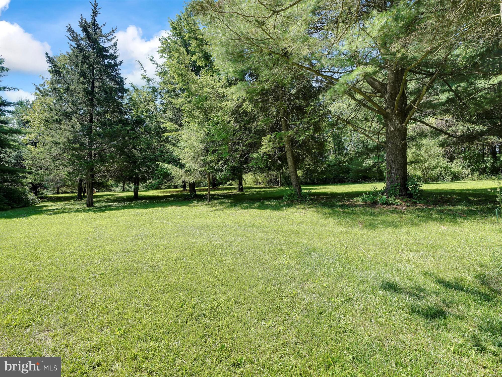 296 Swopes Valley Road Pine Grove, PA 17963 - Photo 49 of 57 MEADOW