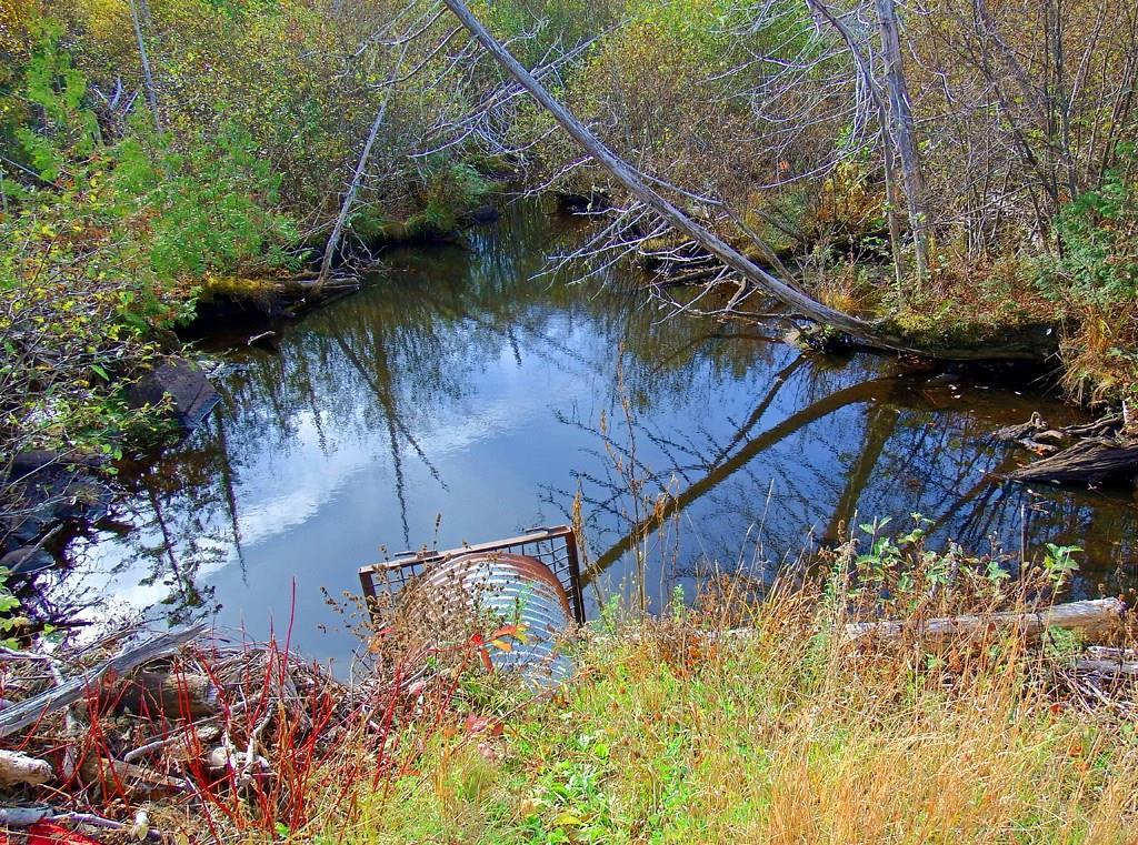 Lot 5 Cone Road Amity, ME 04471 - Photo 14 of 35 Photo