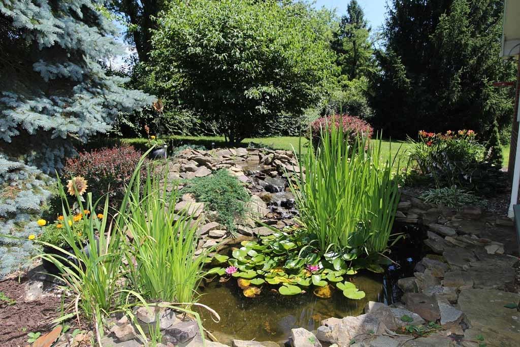 333 Linnwood Road Eighty Four, PA 15330 - Photo 21 of 25 WATERFALL AND POND OFF COVERED DECK, WITH PLENTY OF FISH