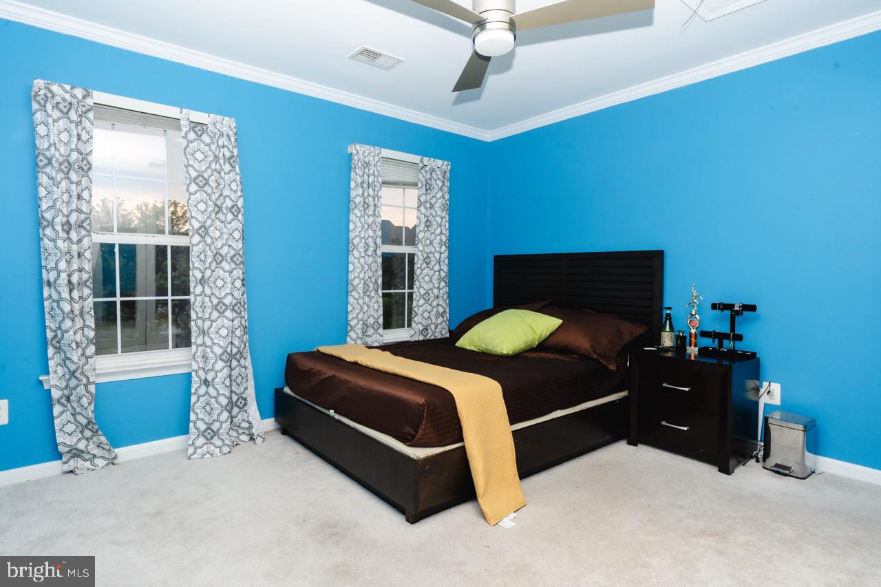 18278 Maple Spring Court Leesburg, VA 20176 - Photo 27 of 35 Vibrant blue retreat with natural light.