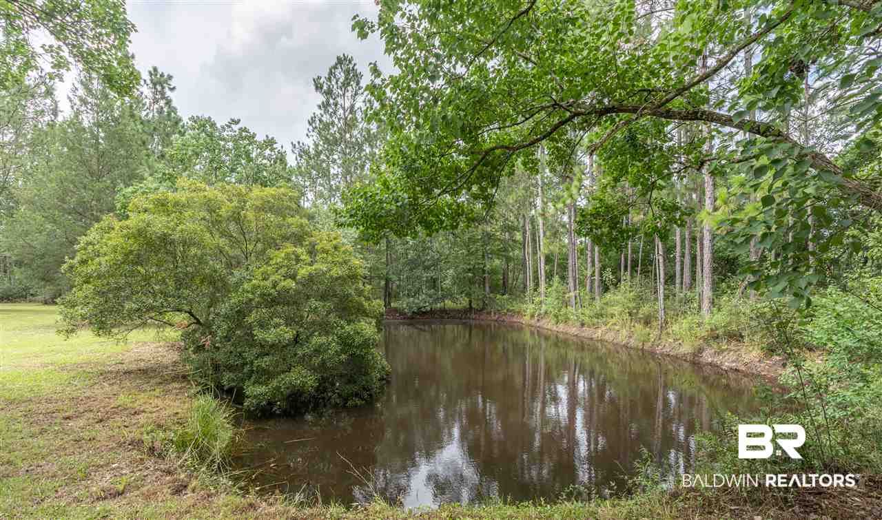 24014 Patterson Road Robertsdale, AL 36567 - Photo 13 of 38 Private Pond
