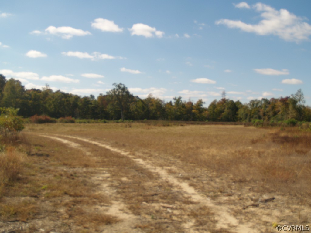 9003 Diascund Road Lanexa, VA 23089 - Photo 8 of 20 Rear Field #1
