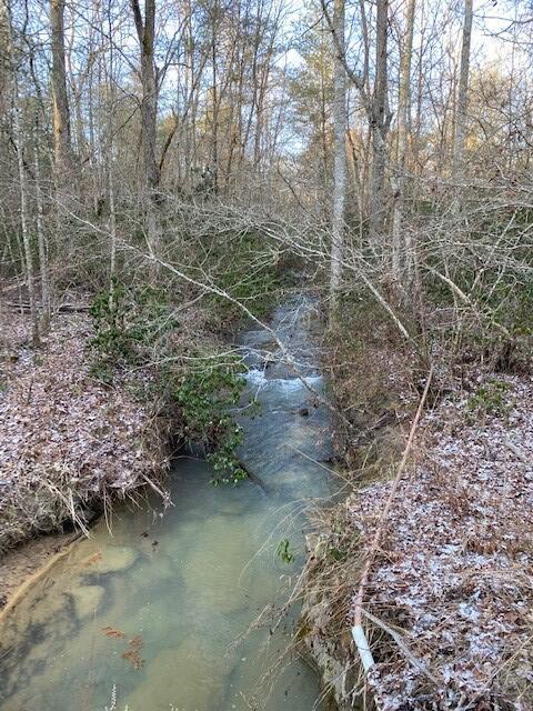 142 Cole Road Deer Lodge, TN 37726 - Photo 2 of 77 20220322195744914149000000-o