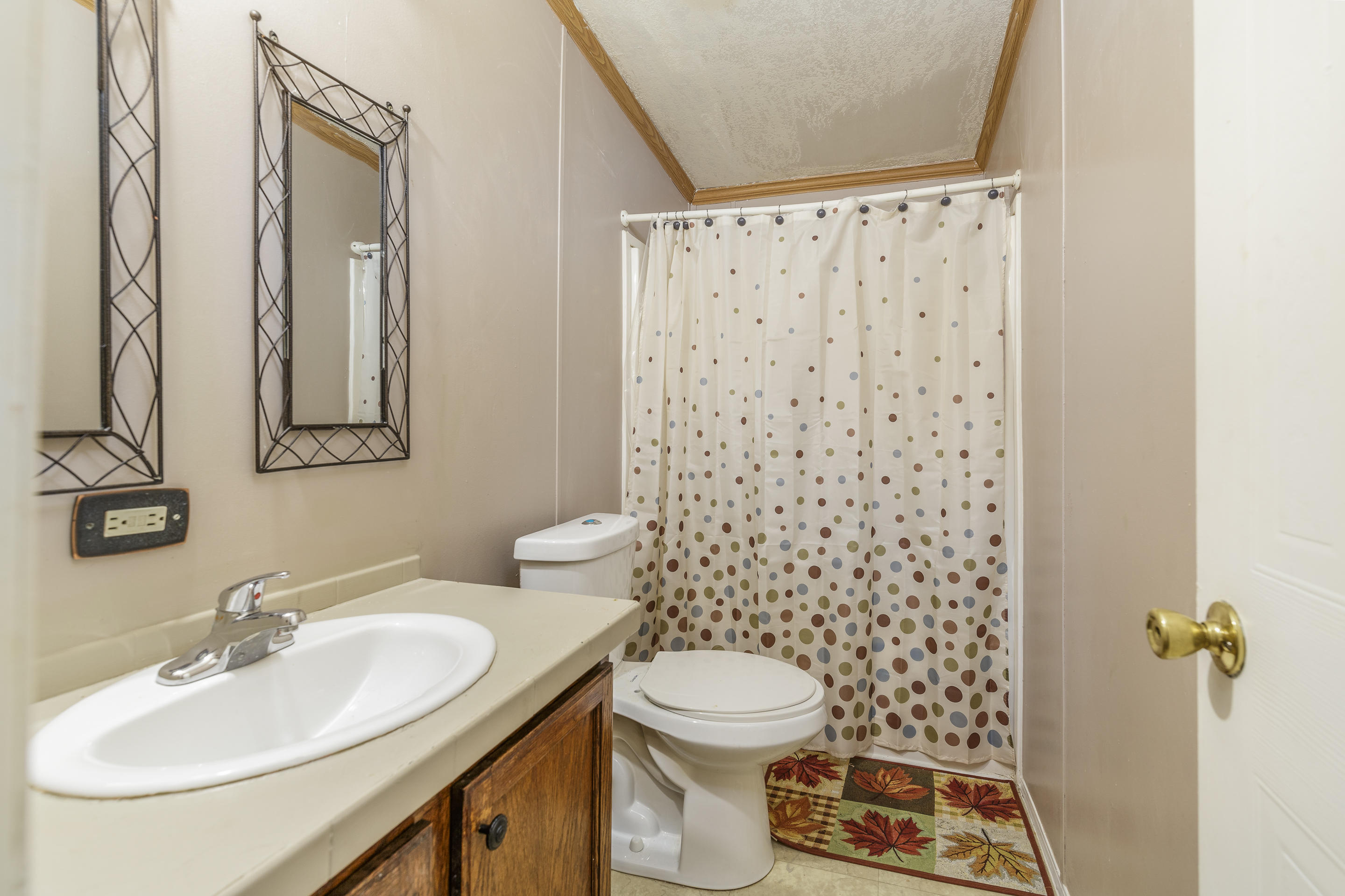 4338 Pea Ridge Road Maryville, TN 37804 - Photo 9 of 10 bathroom 1