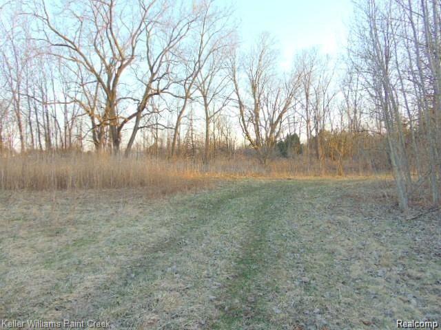 73636 McKay Road Romeo, MI 48065 - Photo 9 of 22
