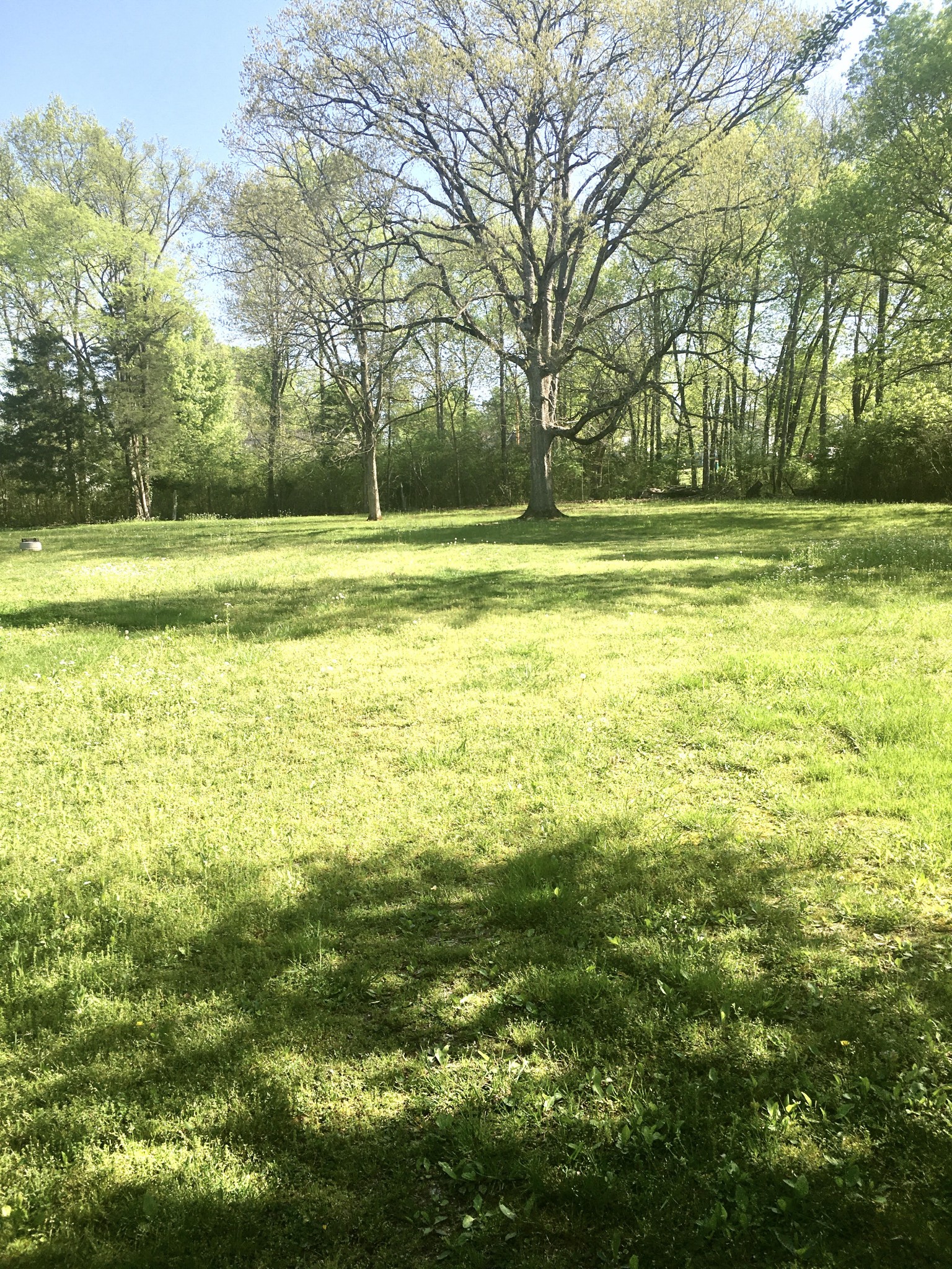 316 Holly Grove Road Lewisburg, TN 37091 - Photo 13 of 22 Gallery Image 13