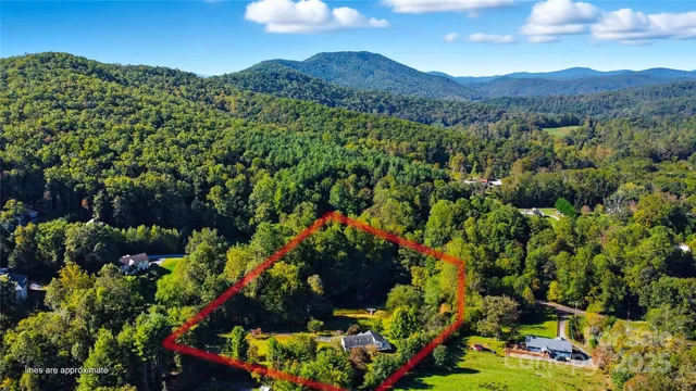 a view of flowers in a lot of flowers